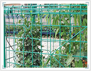 双圈护栏网